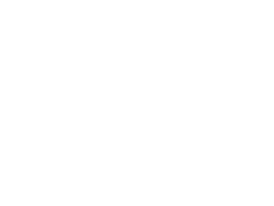 logo2-w.png